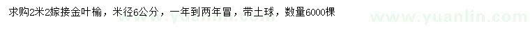 求購(gòu)米徑6公分金葉榆