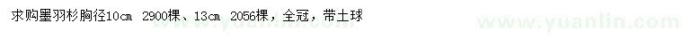 求購胸徑10公分墨羽杉