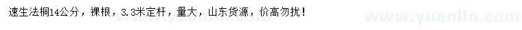 求購(gòu)14公分速生法桐
