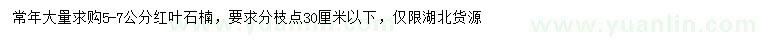 求購(gòu)5-7公分紅葉石楠