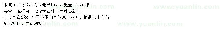 求購6-8公分樸樹