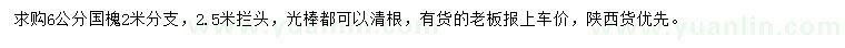 求購6公分國槐