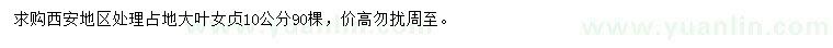 求購10公分大葉女貞