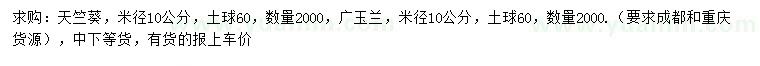 求購米徑10公分天竺葵、廣玉蘭