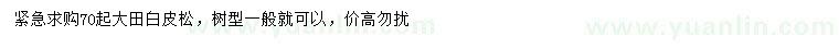 求購(gòu)70公分大田白皮松