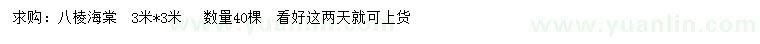 求購3米八棱海棠