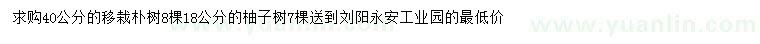 求購(gòu)40公分樸樹