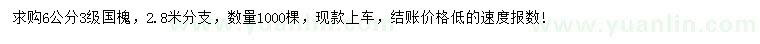 求購6公分國槐