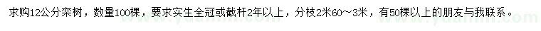 求購(gòu)12公分欒樹(shù)