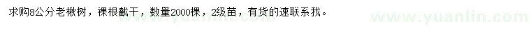 求購8公分老楸樹