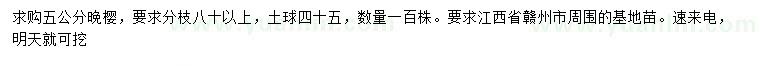 求購5公分櫻花