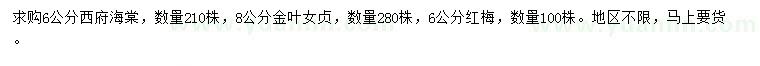 求購西府海棠、金葉女貞、紅梅