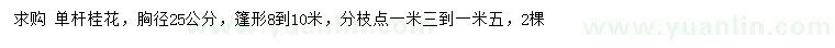 求購(gòu)胸徑25公分桂花