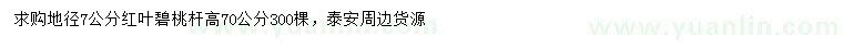 求購(gòu)地徑7公分紅葉碧桃