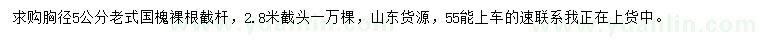 求購胸徑5公分老式國槐