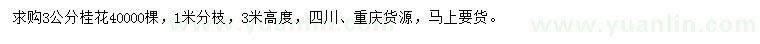 求購3公分桂花
