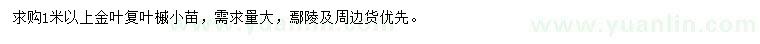 求購1米以上金葉復(fù)葉槭