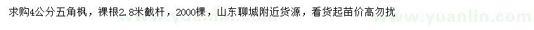 求購4公分五角楓