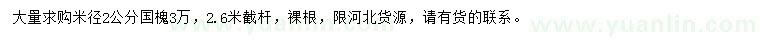 求購米徑2公分國槐
