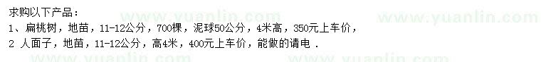 求購11-12公分扁桃樹、人面子
