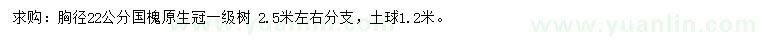 求購(gòu)胸徑22公分國(guó)槐