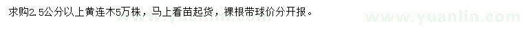 求購2.5公分以上黃連木