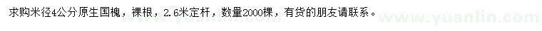 求購4公分原生國槐