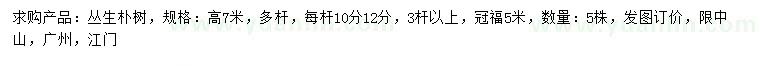 求購高7米叢生樸樹