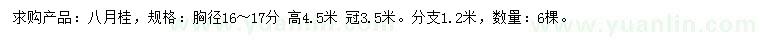 求購胸徑16-17分八月桂