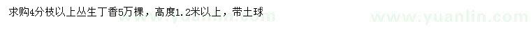 求購(gòu)高1.2米以上叢生丁香