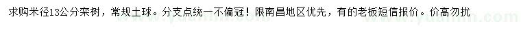求購(gòu)米徑13公分欒樹(shù)