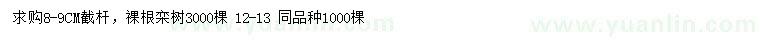 求購8-9公分欒樹