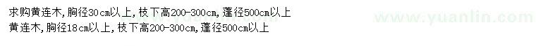 求購(gòu)胸徑18、30公分以上黃連木