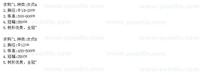 求購胸徑12、18-20公分女貞