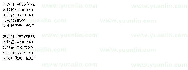 求購胸徑20-22、28-30公分柿樹
