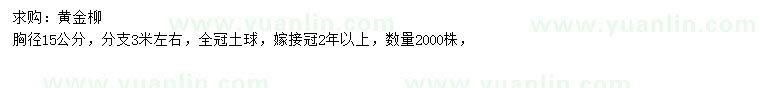 求購胸徑15公分黃金柳