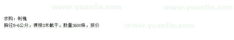 求購胸徑5-6公分刺槐