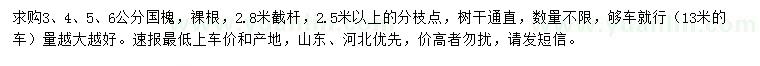 求購3、4、5、6公分國(guó)槐