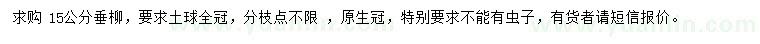 求購15公分垂柳