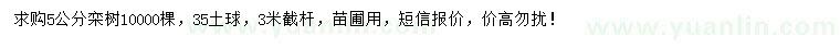 求購(gòu)5公分欒樹