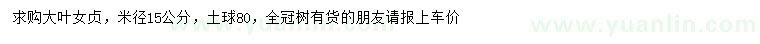 求購米徑15公分大葉女貞