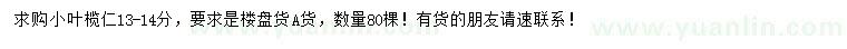 求購(gòu)13-14公分小葉欖仁