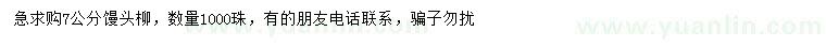 求購7公分饅頭柳