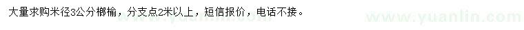 求購米徑3公分榔榆