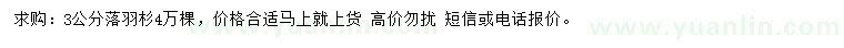 求購3公分落羽杉