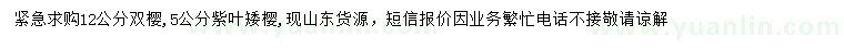 求購12公分雙櫻、5公分紫葉矮櫻