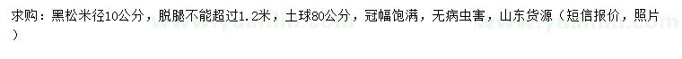 求購米徑10公分黑松