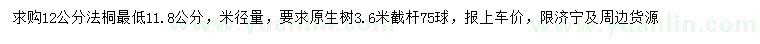 求購米徑12公分法桐