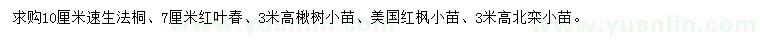 求購(gòu)速生法桐、紅葉椿、楸樹(shù)等