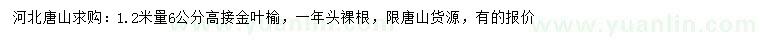 求購1.2米量6公分金葉榆